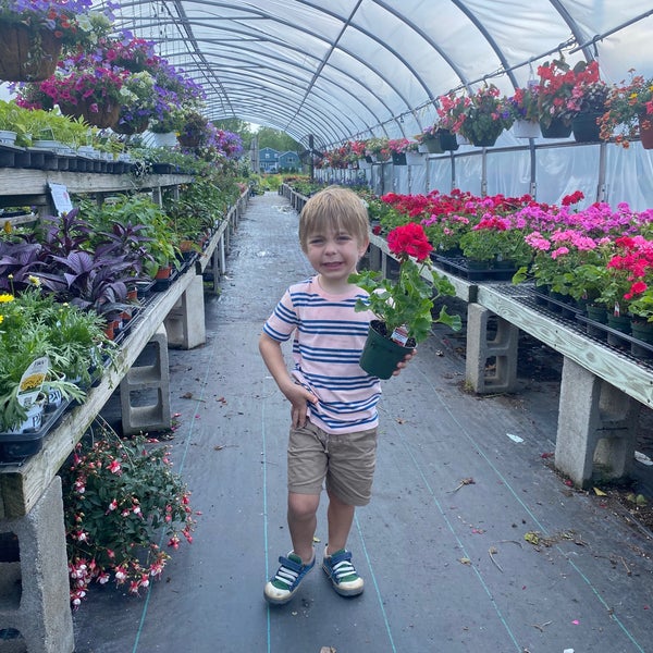 Dreyer Farms Garden Center