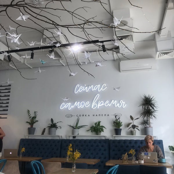 сойка напела кафе на красной пресне. ресторан сойка ставрополь. сойка кофейня москва. сойка напела кафе москва. красная пресня 36 стр 1.