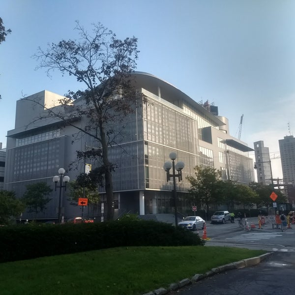 T university