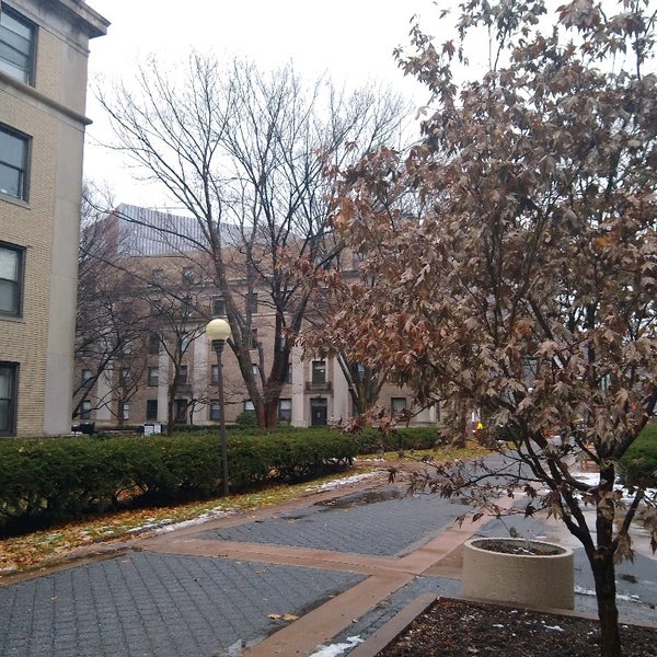 T university. T university