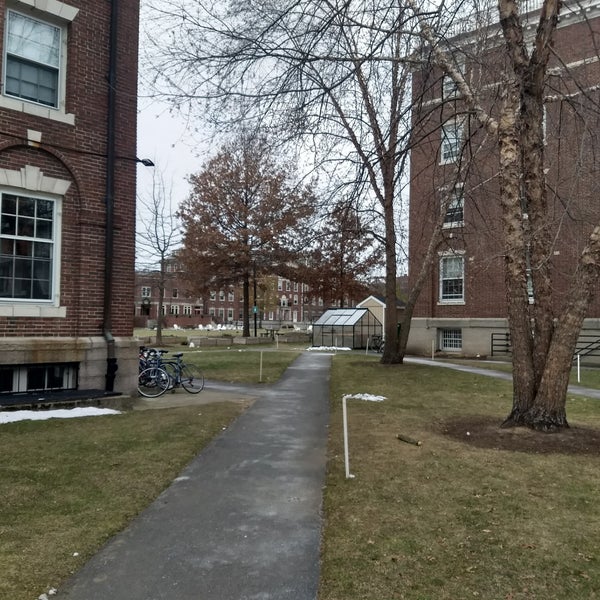 Radcliffe Quadrangle College Quad in Neighborhood Nine