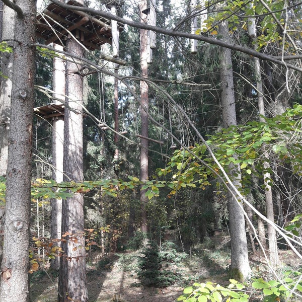 Pflegerin Taetowierte Wald Doppelter