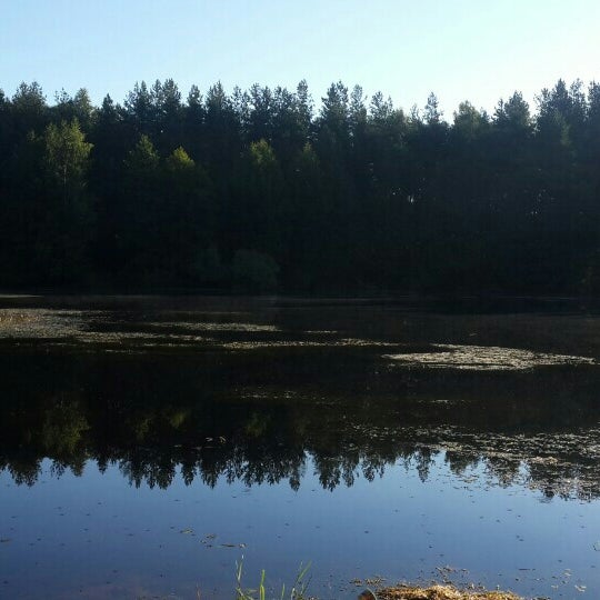 Район Рыбное Фото