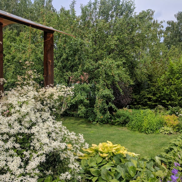 Купить Сад В Петушках В Челябинске