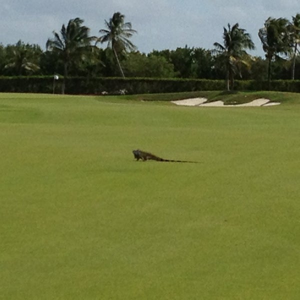 Foto tirada no(a) The Ritz-Carlton Golf Club, Grand Cayman por Michelle B. em 1/12/2013