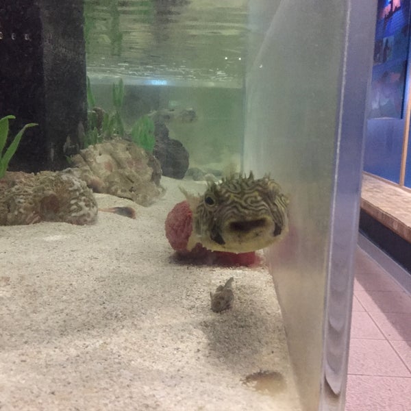6/14/2019에 Richard님이 Clearwater Marine Aquarium에서 찍은 사진