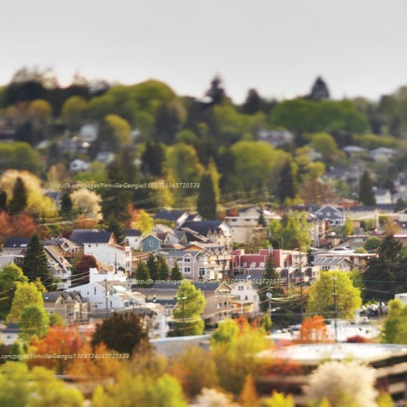 Yorkville, Neighborhood