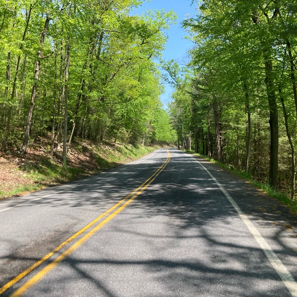 Mont Alto State Park PA 233