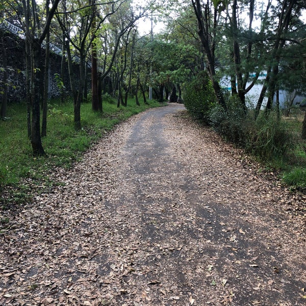 Foto tirada no(a) Bosque de Tlalpan por José Luis P. em 12/1/2022