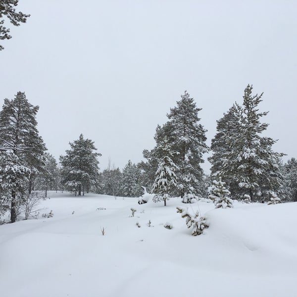 Дачного участка хмао. Дачи в радужном хмао. Авито радужный хмао. Г радужный хмао. Дачи в радужном.