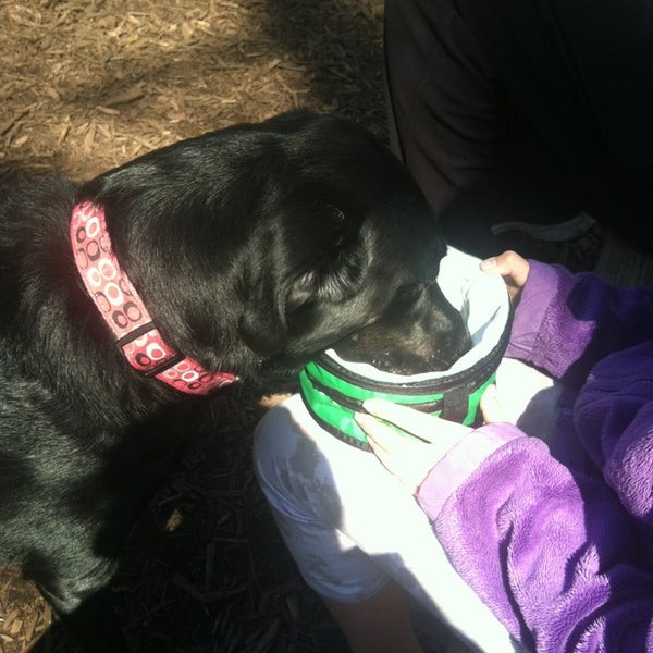 Photos at Vienna Dog Park Dog Park in Vienna