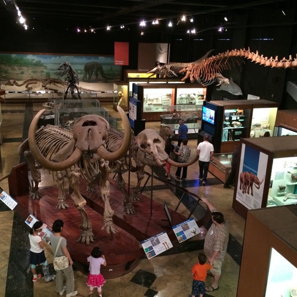 Foto tirada no(a) University of Michigan Museum of Natural History por Asker495 em 5/25/2014