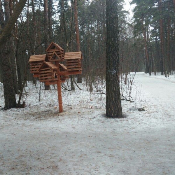 Город Лесной лыжная база