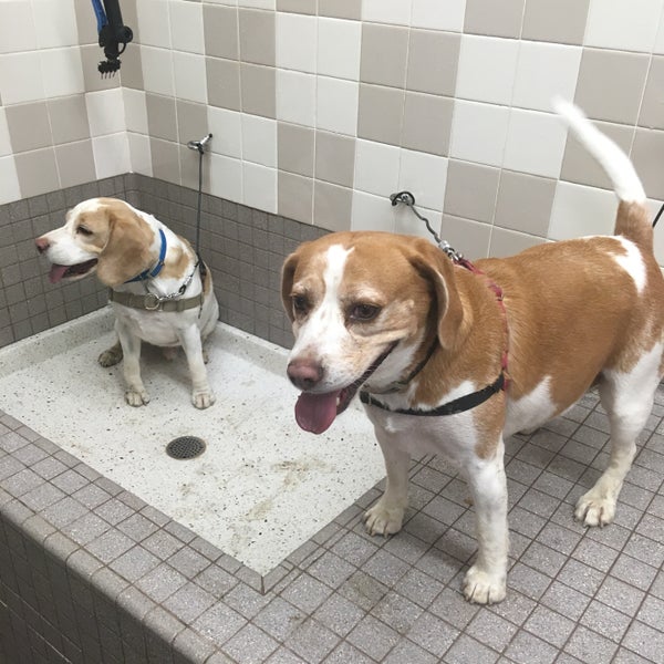 Pet Food Express Upper Rockridge Oakland, CA