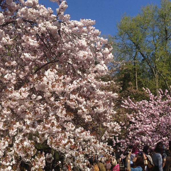 4/27/2013에 Peter W.님이 Brooklyn Botanic Garden에서 찍은 사진