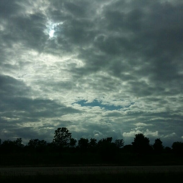 Village of Tonica City