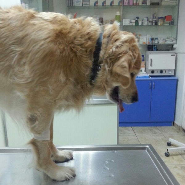 Photo taken at Pet Clinic by Hülya T. on 11/30/2015