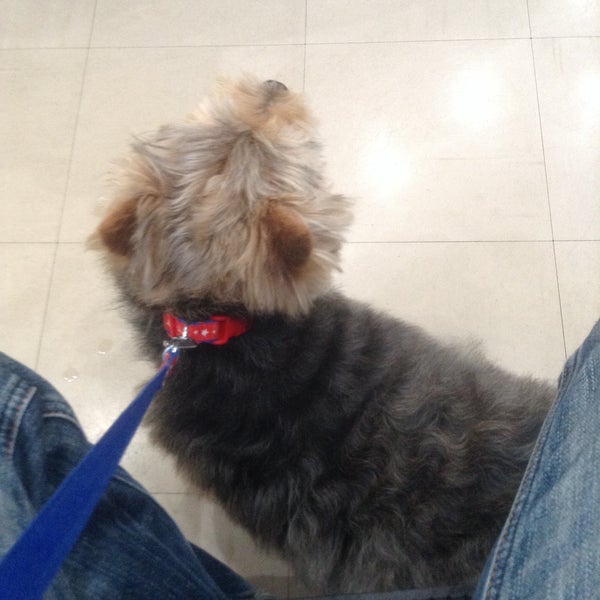 湘南台セントラル動物病院