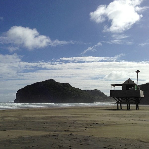 Bethells Beach the Wilds