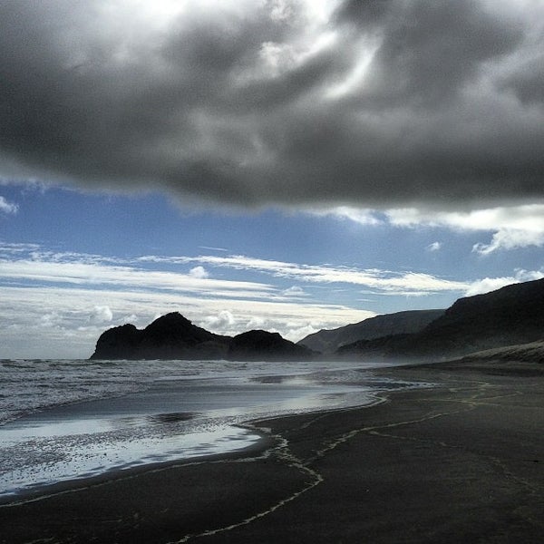 Bethells Beach the Wilds