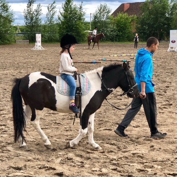 Включи конный спорт. Йога на лошади. Эквийога на лошади. Покататься на лошадях в Лобне. Элементарная езда на лошади.