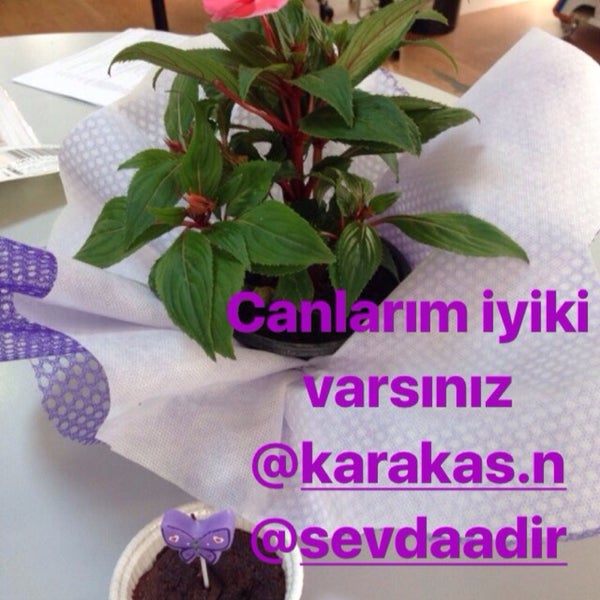 Das Foto wurde bei Lotus Kahvaltı Evi &amp; Gurme von İlkay S. am 7/14/2017 aufgenommen