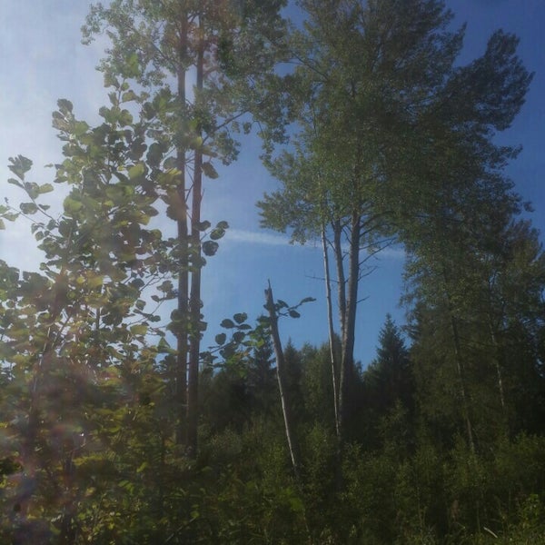 Стайцеле латвия