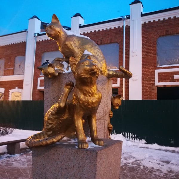 Парк кошек в тюмени адрес