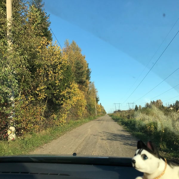 садоводство снт ниит песочное. снт мечта гатчинский район. ольшаники снт озорной ручей выборгский район 3 массив. садоводство выборгское. садоводство выборгское.