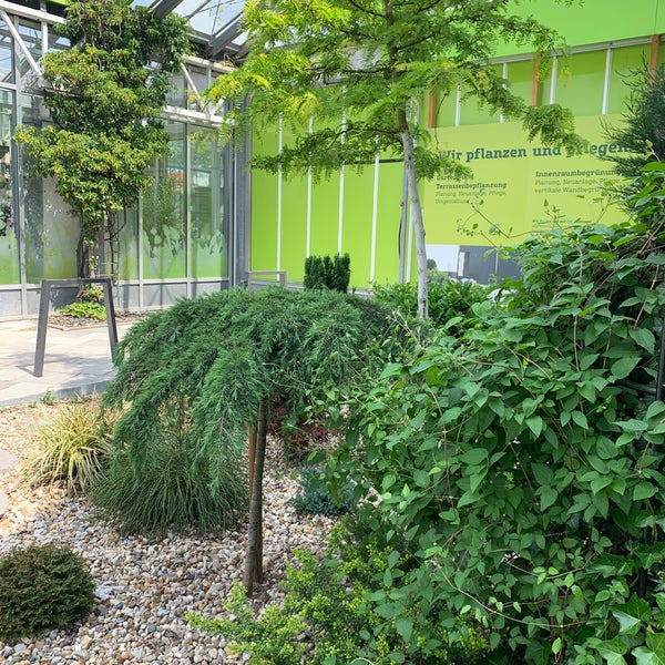 Fotos bei PflanzenKölle DallgowDöberitz, Brandenburg