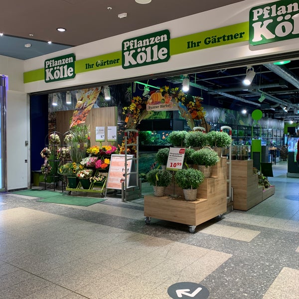 Fotos bei PflanzenKölle DallgowDöberitz, Brandenburg