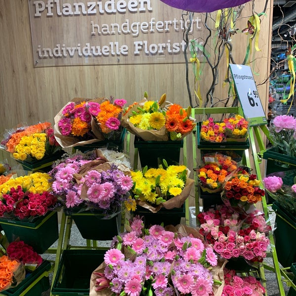 PflanzenKölle DallgowDöberitz, Brandenburg