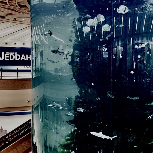 รูปภาพถ่ายที่ King Abdulaziz International Airport (JED) โดย SalMan เมื่อ 6/10/2021