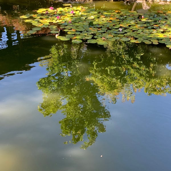 Foto diambil di Lan Su Chinese Garden oleh Enrique S. pada 7/24/2021