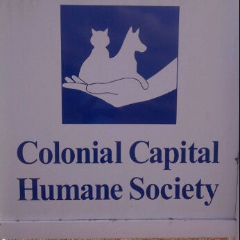 Colonial capital humane society new hotsell bern nc