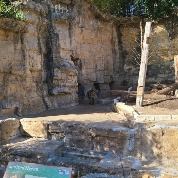 Photo taken at San Antonio Zoo by manuel on 1/17/2021