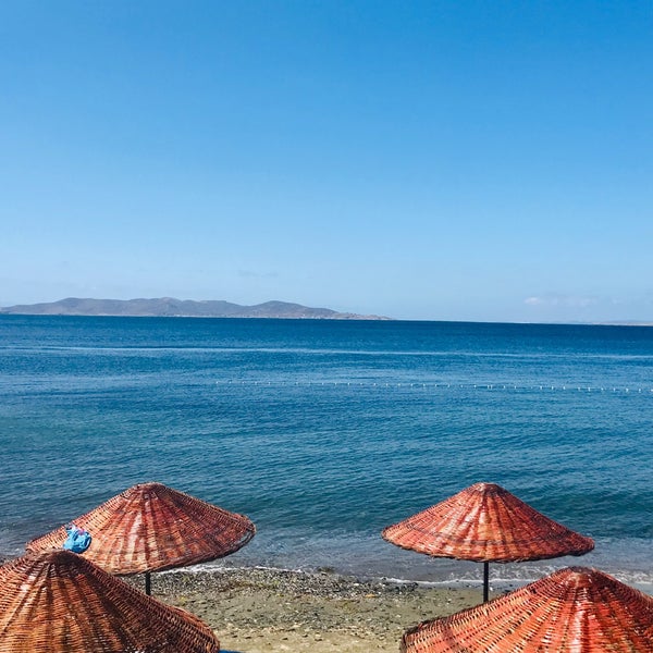 Yelkovan Ada Evi Otel Da Fotograflar