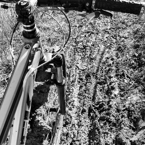 WCU Hiking Trail Cullowhee, NC