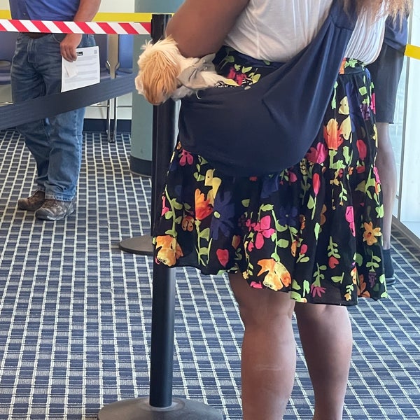 Collin County Tax Assessor Frisco, TX