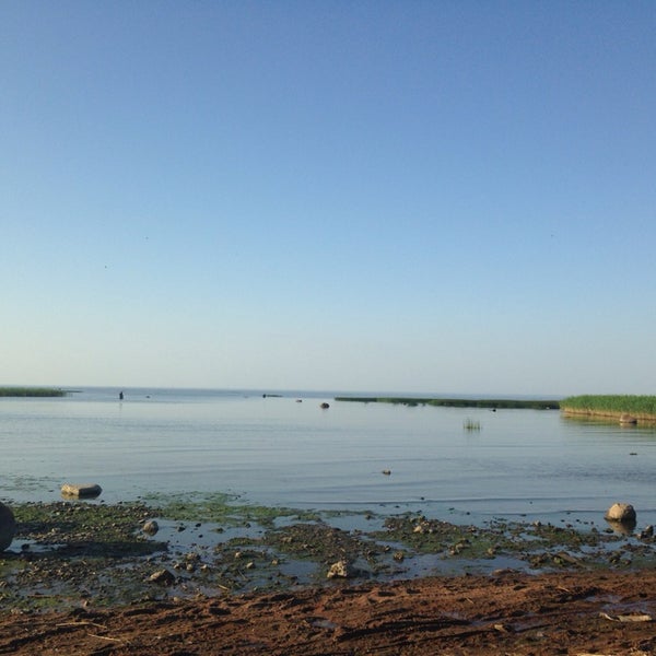 Пляж в мартышкино