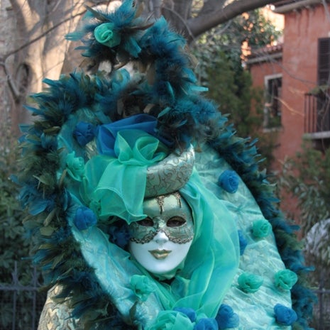 Il #Carnevale di #Venezia si terrà dal 15 febbraio al 4 marzo quest'anno! | Il tema del 2014 è la NATURA FANTASTICA