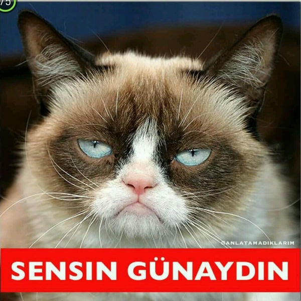 Guzel Resimli Sozler En Guzel Sozler Blogu