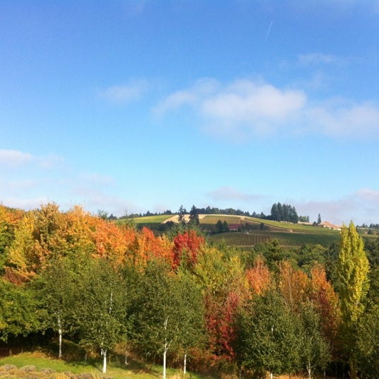 Red Ridge Farms Vineyard in Dayton