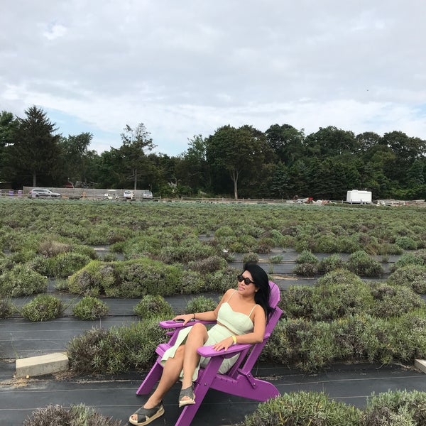 Foto diambil di Lavender By the Bay - New York&#39;s Premier Lavender Farm oleh Van N. pada 8/15/2020