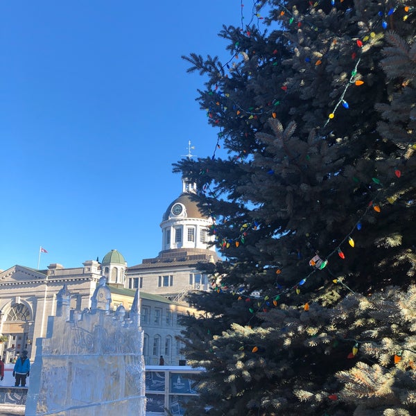 Photos at Springer Market Square - Downtown Kingston - Kingston, ON