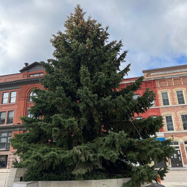 Photos at Springer Market Square - Downtown Kingston - Kingston, ON