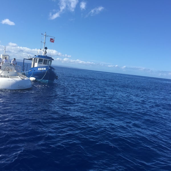 Photo taken at Atlantis Submarines Maui by Isabel G. on 5/2/2016