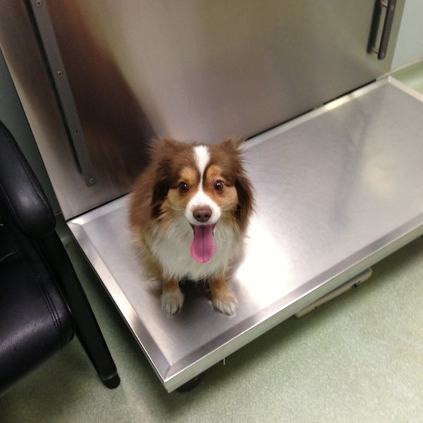 9/18/2013 tarihinde Jess W.ziyaretçi tarafından West Village Veterinary Hospital'de çekilen fotoğraf