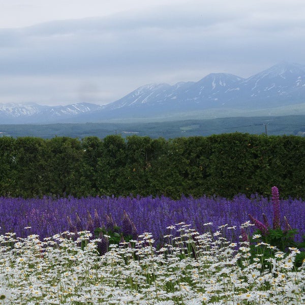 ススキノグリーンホテル2 Susukino Green Hotel 2 札幌市のホテル