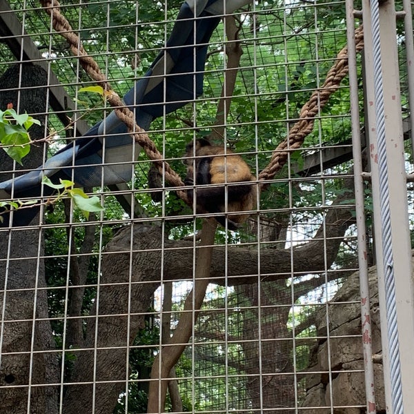 Photo prise au San Antonio Zoo par Wilo M. le5/10/2019
